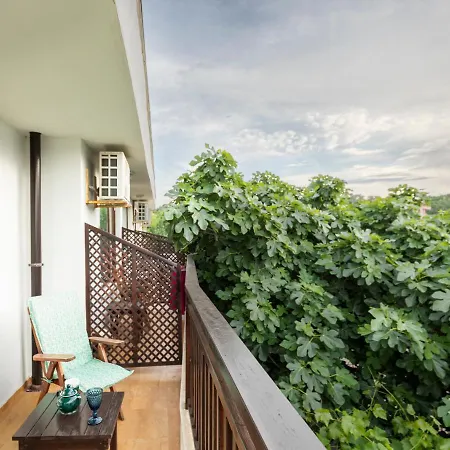 Gasthof Cherry Sosopol