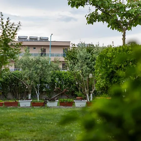 Guest house Cherry 2*