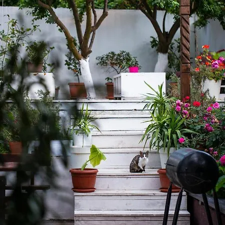 Guest house Cherry Sozopol