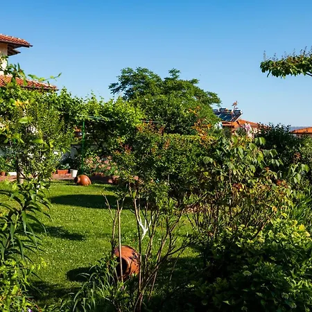 Guest house Cherry Sozopol