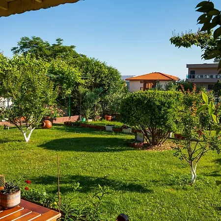 Guest house Cherry 2*