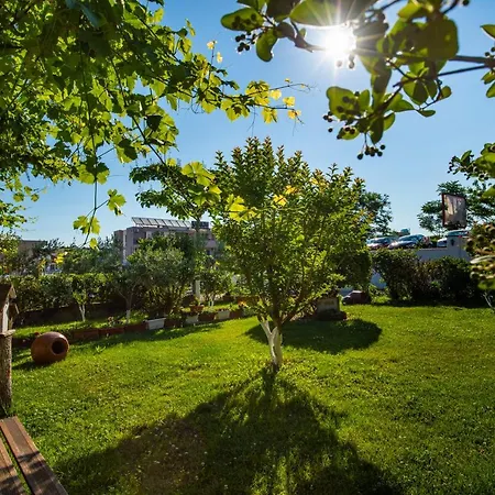 Guest house Cherry 2*