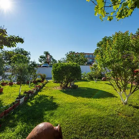 بيت ضيافة Cherry