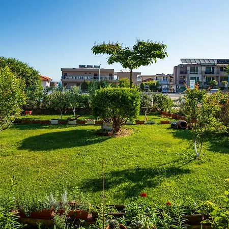 Cherry Guest house 2*