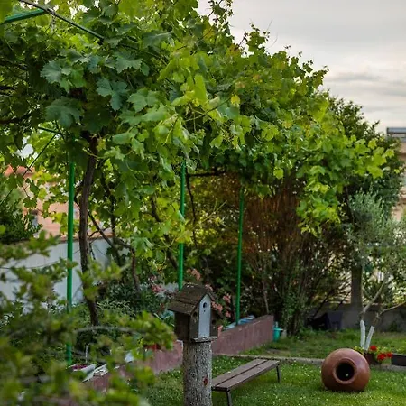 Cherry Guest house 2*