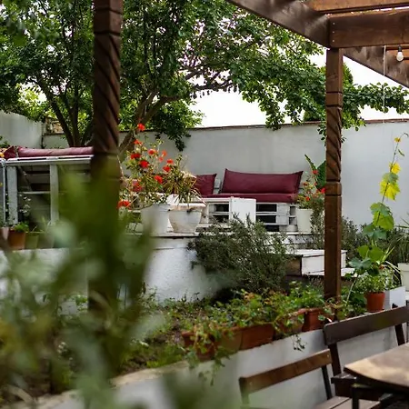 Cherry Guest house 2*