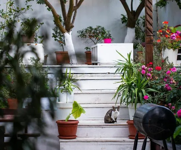 بيت ضيافة Cherry سوزوبول