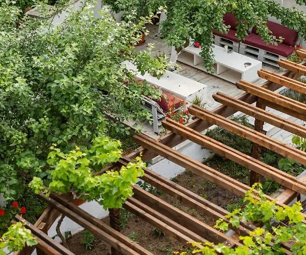 Cherry 2* سوزوبول