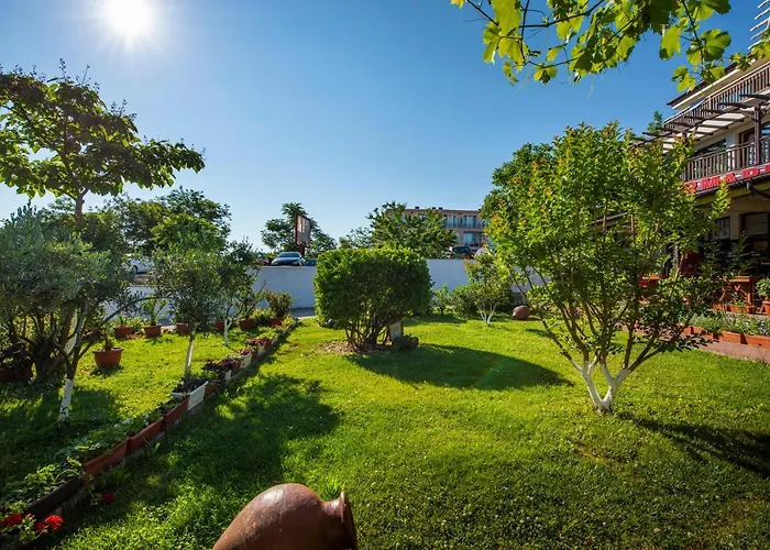 ゲストハウス Cherry