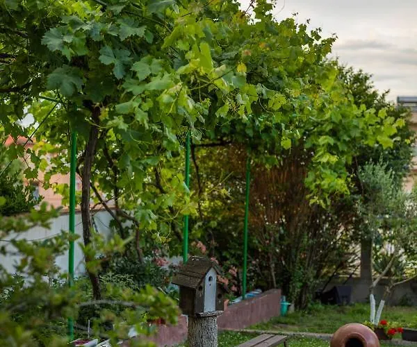 Cherry بيت ضيافة 2*